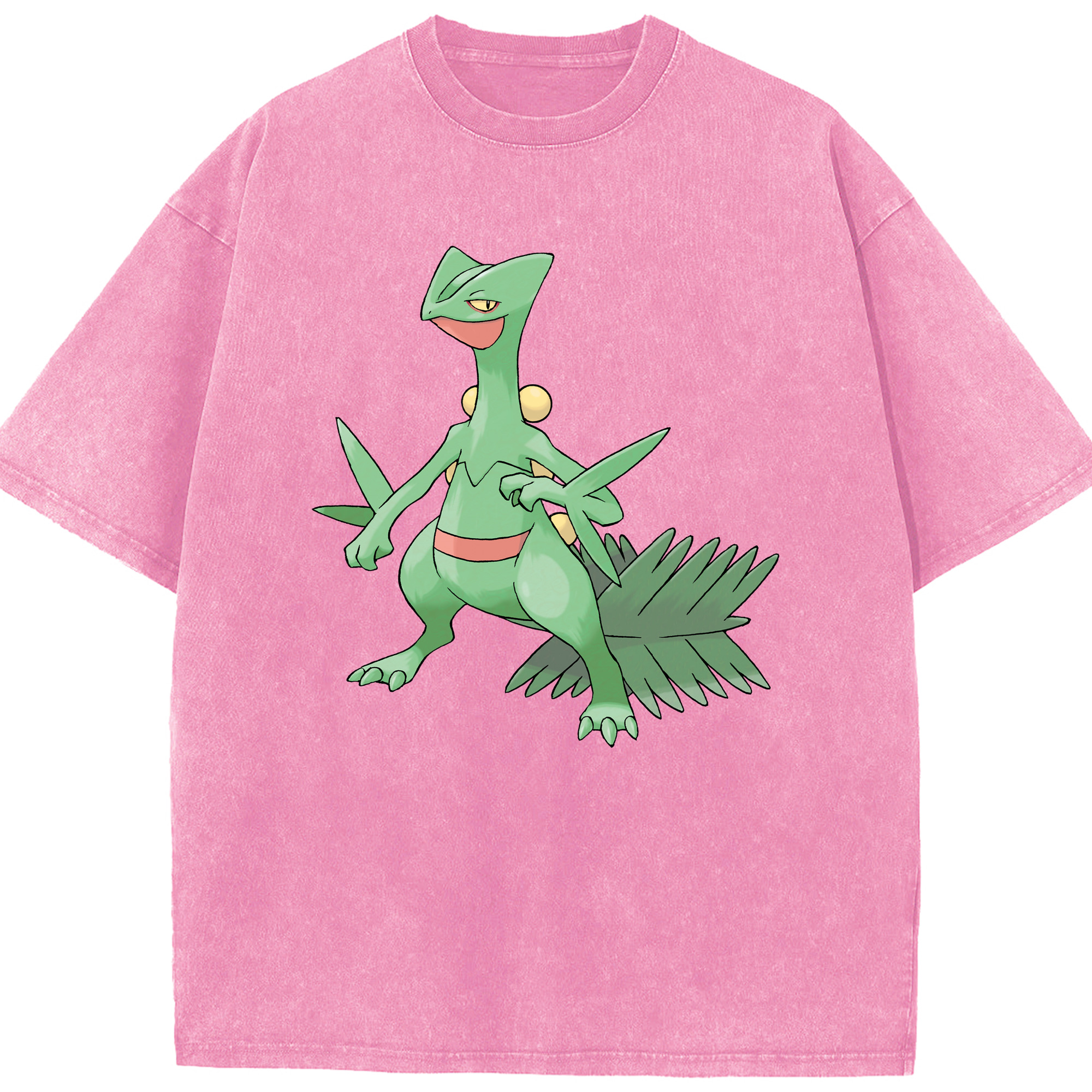 （画像用） ポケットモンスター Pokémon 綿100% ヴィンテージ風 半袖Tシャツ（フロントプリント）